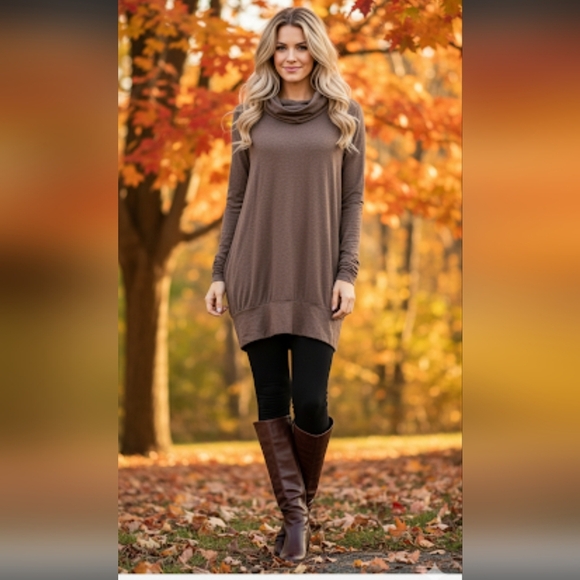 Taupe Mock Neck Tunic or Blousson Top Long Sleeve Size L FALL AUTUMN - Picture 1 of 3